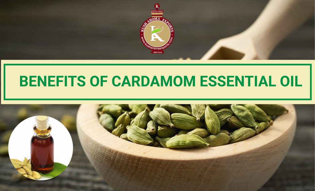 Cardamom Essential Oil: Benefits, Properties, Applications