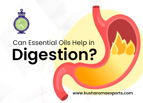 Nature's Remedy for Digestion: Can Essential Oils Help?
