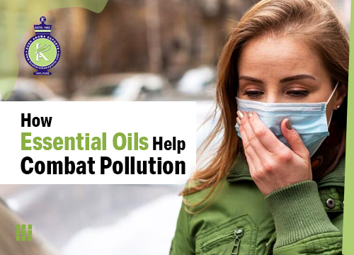 Breathe Easy: How Essential Oils Help Combat Pollution