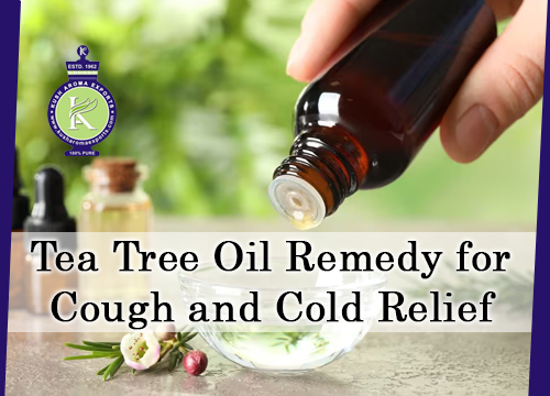 Tea Tree Oil Remedy for Cough and Cold Relief