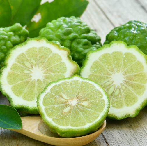 Bergamot Organic Essential Oil Supplier, Manufacturer & Wholesaler